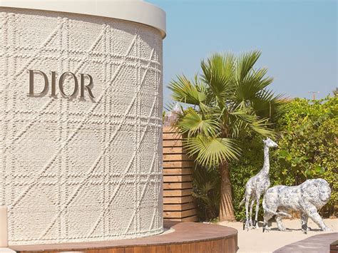 dior wares dubai.